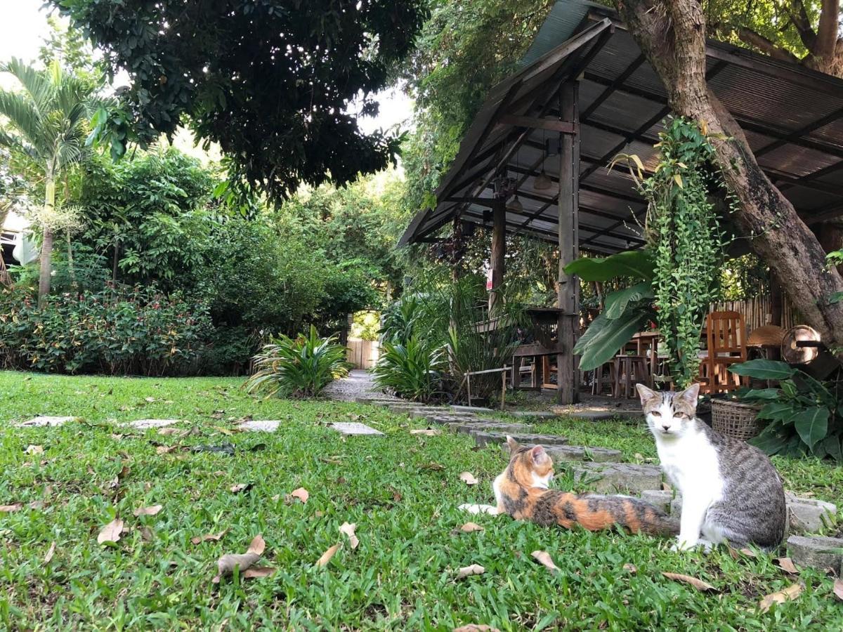 Bed and Breakfast Lanna House Lanna Hut Chiangmai Chiang Mai Exterior foto